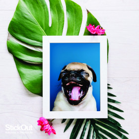 Poster Pug Azul