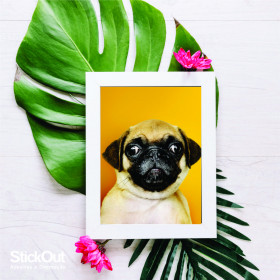 Poster Pug Amarelo