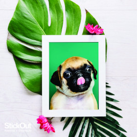 Poster Pug Verde